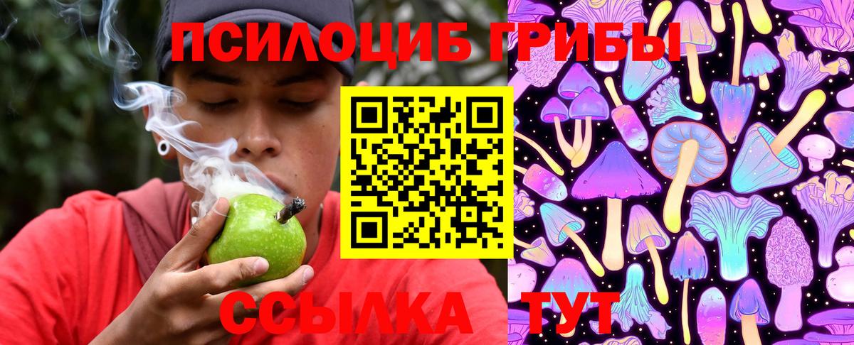 Галлюциногенные грибы Cubensis  Галлюциногенные грибы Magic Shrooms  Вход с VPN  Хасавюрт 