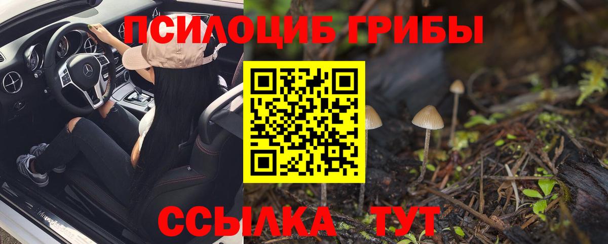 Псилоцибиновые грибы мухоморы Хасавюрт